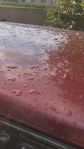 The video shows a close-up, high-angle shot of the hood of a red car covered in water droplets. The water appears to be reflecting the sky and surrounding greenery, suggesting it is either raining or the car has recently been washed. The car's paint is a deep red, and the water droplets create a shimmering effect on its surface. In the background, blurred trees and a building can be seen, indicating an outdoor setting. The lighting suggests it is daytime, possibly overcast due to the diffused light. No people or other objects are clearly visible in the frame. The camera movement is subtle, providing a static or slightly panning view of the water on the car's hood.