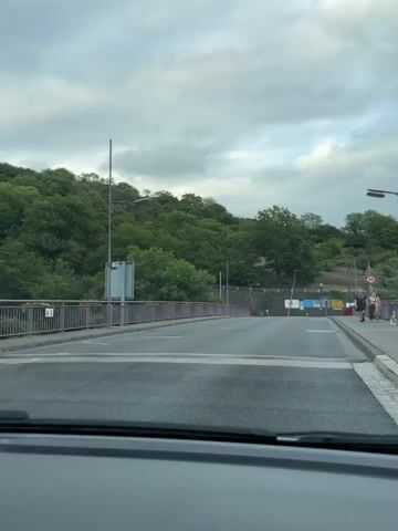 The video begins from the perspective of a person inside a car, looking out at a bridge. On the bridge, there are two people walking with a dog. A sign indicating a speed limit of 30 is visible. Further down the bridge, a bicycle symbol sign is present. The bridge has red railings and is lined with lampposts. On the left side of the bridge, a hill covered in trees is visible. The sky is cloudy. The perspective then shifts to a closer view of the people walking on the bridge and the dog. One of the individuals is seen pointing towards the river below. The video then returns to the car's perspective, showing the bridge and the hilly, tree-covered landscape. The video ends with a shot of the bridge and the surrounding environment.