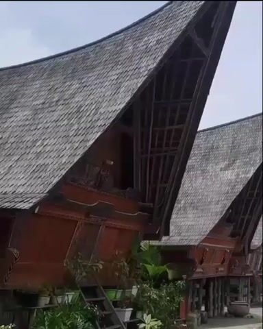 The video shows the side view of several traditional houses with distinctive saddle-shaped roofs, covered in gray shingles. The houses are elevated on stilts, and the lower portion is made of dark red wood with intricate carvings. A wooden ladder leads up to one of the houses. Numerous potted plants are arranged in front of the houses, adding greenery to the scene. The overall environment appears to be an outdoor setting, possibly a village or a cultural heritage site. The sky is visible in the background and appears overcast. The camera slowly pans across the scene, focusing on the architectural details of the houses and the surrounding vegetation. There are no people visible in the video.