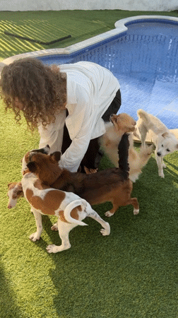 Woman plays with multiple dogs in Kediri backyard