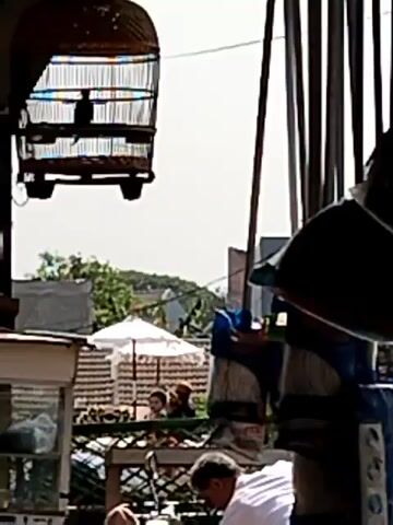 The video shows a close-up of a birdcage hanging from above. A bird is visible inside the cage. In the background, there are buildings and trees. There are also some people and objects in the foreground, including what appears to be a market stall. The scene is outdoors and the lighting suggests it is daytime. The video is short and does not show any significant actions or interactions.