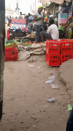 Market vendors sell fresh produce in Sabon Tasha