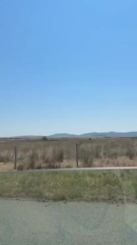 The video shows a view from a vehicle moving along a road. The scenery outside is a dry, grassy field with scattered bushes and some distant hills under a clear blue sky. A wire fence runs across the field, with posts visible at intervals. The road surface is visible in the foreground. The video appears to be taken during daylight on a sunny day.