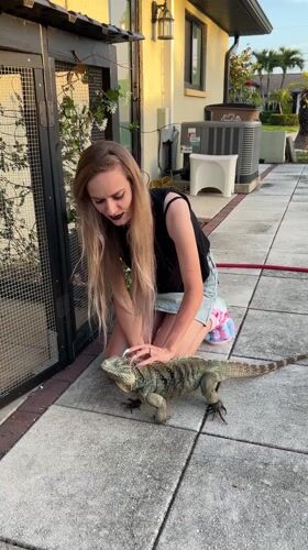 Cape Coral resident shares quiet Friday evening moments indoors