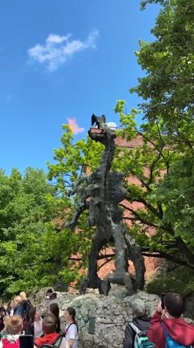 Morning tourist activities captured around Krakow landmarks