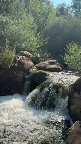 This is a close-up, vertical video of a small waterfall cascading over moss-covered rocks in a natural setting. The water is white and foamy as it falls. Lush green trees and foliage surround the waterfall, with sunlight filtering through the leaves, creating a dappled effect. The overall impression is one of a serene and vibrant natural environment. There are no people or man-made objects visible in the video.