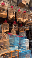 Morning scenes from Hanoi cafes, shops and cultural spaces