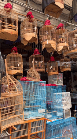 Morning scenes from Hanoi cafes, shops and cultural spaces