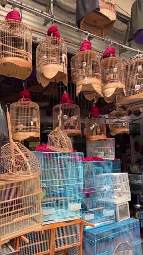 Morning scenes from Hanoi cafes, shops and cultural spaces