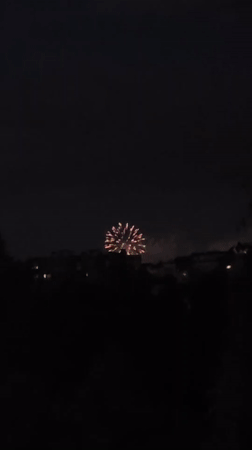 Fireworks light up the Minsk night sky