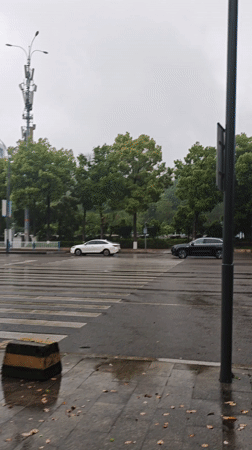 Rainy street scene documented at Chongqing pedestrian crossing