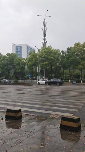 Rainy street scene documented at Chongqing pedestrian crossing