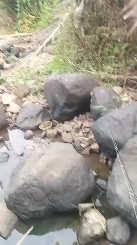 The video shows a shallow stream bed filled with rocks of various sizes. The water is murky and reflects the surrounding greenery and sky. The stream bed is lined with dirt and more rocks on the banks, with some sparse vegetation growing. There is also a piece of white and green plastic trash visible on the upper bank to the left. No people or animals are clearly visible. The overall scene depicts a natural, somewhat unkempt outdoor environment.