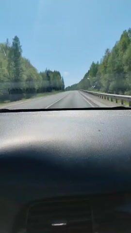 The video shows a view from inside a car, looking out through the windshield. The car is driving on a straight, paved road that runs between rows of trees on both sides. The sky is clear and blue, with the sun shining brightly at the top of the frame. The dashboard of the car is visible at the bottom of the frame.