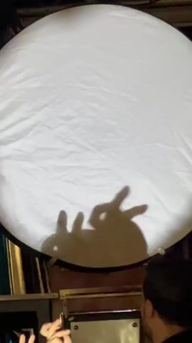 A person's hands create shadow puppets resembling rabbits on a large white circular screen. The screen is lit from behind, casting the shadows onto its surface. The person's hands are positioned below the screen, and their fingers are bent to form the shapes of the rabbits' ears and bodies. The background is dark, with some shelves and frames visible.