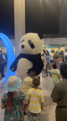 Panda mascot entertains children in Safaga public area