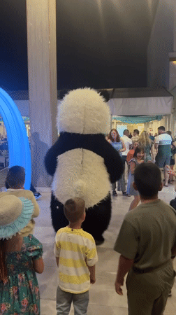 Panda mascot entertains children in Safaga public area