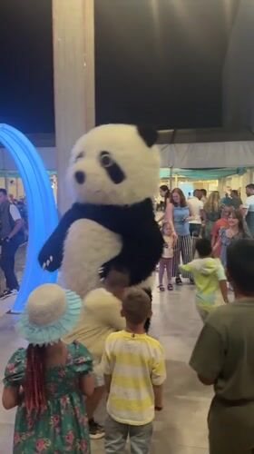 Panda mascot entertains children in Safaga public area