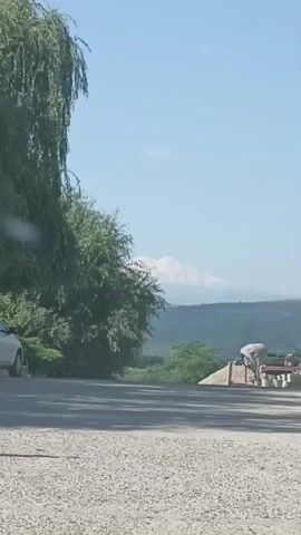 The video shows a wide shot of an outdoor scene with a gravel road in the foreground. To the left, a large weeping willow tree with drooping branches dominates the frame. Beyond the road, there are green trees and hills. In the distance, a snow-capped mountain is visible against a clear blue sky. On the right side of the frame, there are some structures including what appears to be a construction site with a pile of sand or gravel and some machinery. A white car is partially visible on the left side of the road. The lighting suggests it is daytime, likely morning or afternoon, with bright sunlight.