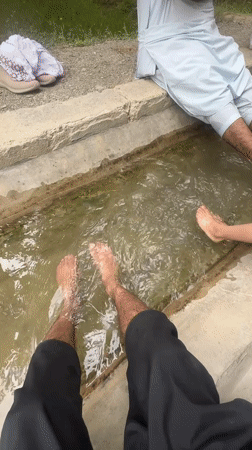 Cooling off in a shallow irrigation channel in rural Pakistan