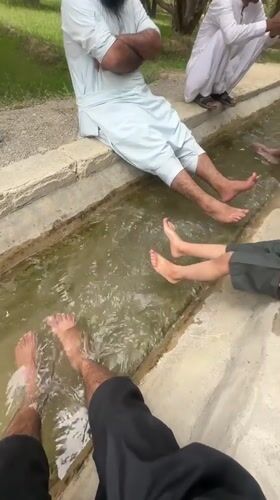 Cooling off in a shallow irrigation channel in rural Pakistan