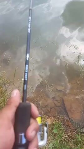 This media file shows a person fishing on the shore of a lake in Dabravka, Bulgaria. The scene is a serene natural landscape with a body of water, grassy banks, and distant hills under a partly cloudy sky.

The camera focuses on a fishing rod held by a person, whose hand is visible in the foreground. The fishing rod is black with white lettering that reads "FIRST CAST." The reel is silver and yellow. The water is calm with ripples reflecting the sky and clouds. In the distance, a line of trees and hills can be seen, suggesting a rural or natural setting. A few ducks are visible on the water. The time of day appears to be daytime, with the sun illuminating the scene. The weather seems pleasant, with a mix of sun and clouds. The overall mood is peaceful and relaxing, typical of a fishing excursion.