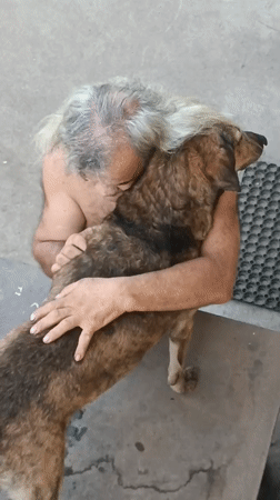 Quiet morning at a Viadana home with pets and yard chores