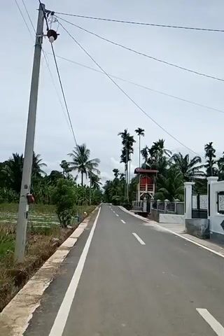 A video shows an asphalt road stretching into the distance. The road is bordered by a ditch on the left, with vegetation and what appears to be a rice paddy behind it. On the right, there is a white fence and a building. Tall trees, including palm trees, line both sides of the road, creating a canopy effect overhead. A utility pole with wires is visible on the left side of the road. A red and white structure, possibly a tower or a water tank, stands on the right side of the road further down. The sky is overcast. The video appears to be taken from a moving vehicle.