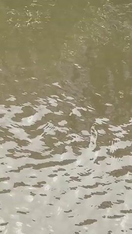 The video shows a close-up view of choppy, muddy water. The lighting suggests it is daytime, with sunlight reflecting off the ripples on the surface. The water appears to be in motion, with waves and disturbances indicating current or wind. There are no other objects or beings visible in the frame.