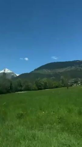 The video shows a landscape with a grassy field in the foreground, framed by trees. In the background, there's a mountain range, partially covered in trees and with some snow visible at its peaks. The sky is clear and blue. The camera appears to be moving, as the trees in the foreground pass by at a faster rate than the background landscape.