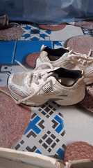 Athletic shoes displayed on patterned surface in Gumel, Nigeria