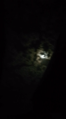 Full moon sighting with mysterious howl reported overnight