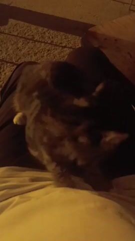 A cat is lying on a person's lap. The person's legs are visible, covered by dark pants and a light-colored blanket or shirt. The cat is dark brown and gray with stripes. The background is out of focus but appears to be an outdoor setting with cobblestones or gravel and shadows suggesting it is nighttime or dusk. There are some blurry objects in the background that could be furniture or a structure. The cat is looking towards the camera.