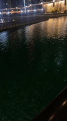 Nighttime waterfront stroll captured in illuminated Dubai cityscape
