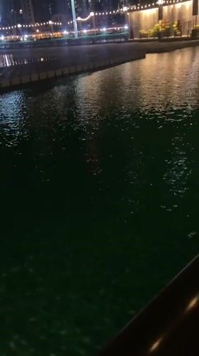Nighttime waterfront stroll captured in illuminated Dubai cityscape