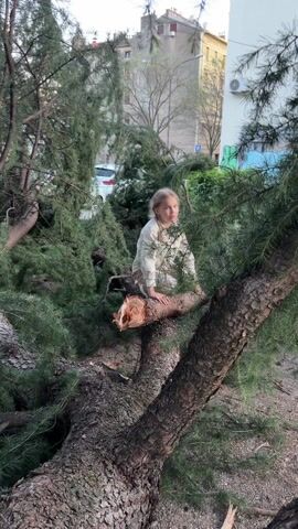 A young girl with blonde pigtails, wearing a beige jacket and pants, climbs over a fallen tree branch in an urban setting. The tree has been broken and lies amidst other greenery and debris.  Buildings and parked cars are visible in the background. The girl is looking directly at the camera, and makes wolf sounds.
