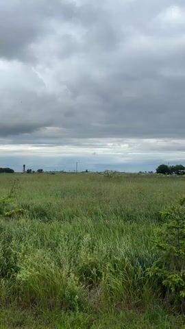 The video shows a wide, green field under a cloudy sky. In the foreground, there are tall grasses and a few small evergreen trees. In the distance, there are some buildings, power lines, and a cluster of trees. The camera pans slowly across the field, showing the vastness of the landscape. The overall atmosphere is calm and serene, with a hint of foreboding due to the dark clouds.