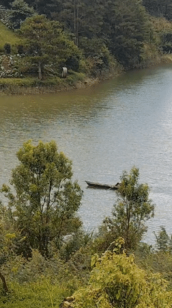 Person paddles wooden raft on serene Da Lat lake