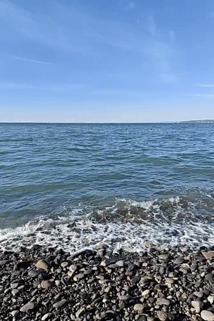 Peaceful coastal scene documented at Batumi beach