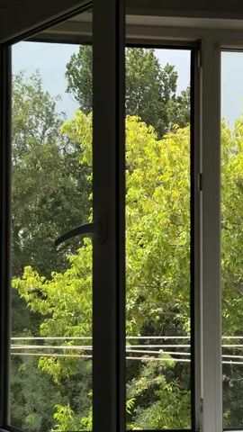The video shows an open window looking out at lush green trees under a cloudy sky. A white window frame and a dark-colored window handle are visible. There are power lines in the foreground.