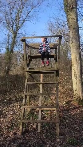 The video shows a young child sitting on a tall, wooden ladder structure in a wooded area. The child is wearing a striped top and dark pants with a light-colored stripe on the side. The ladder structure is made of unfinished wood and has several rungs leading up to a small platform where the child is seated. The ground around the structure is covered in brown leaves. Trees surround the structure, and the sky is visible through the bare branches. The camera then pans to the surrounding forest, showing more trees and ground covered in leaves and brush.