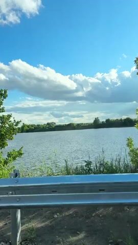 The video shows a view from a vehicle looking out at a landscape. The foreground features a metal guardrail. Beyond the guardrail, there are trees with green foliage and a blue sky with white clouds. In some shots, a body of water is visible in the background. The camera is moving, as indicated by the shifting perspective. There are no people or animals visible in the video. The overall scene appears to be a natural outdoor environment, likely during the daytime.
