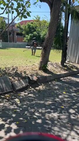 The video opens with a view of trees and shadows on a brick pathway. The camera then pans to show a young boy in an orange tank top and blue shorts pushing a BMX bicycle. In the background, two other boys are sitting on a low wall, and another bicycle is visible. The scene appears to be outdoors, possibly a park or public area, with a building structure behind the boys. The sunlight casts strong shadows on the ground.