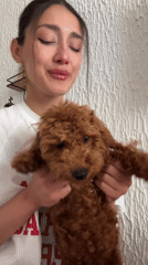 Woman with puppy has emotional moment in Montenegro home