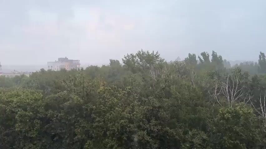 The video shows a view of trees from a high vantage point. It appears to be a cloudy or stormy day, with rain falling and wind blowing through the trees. In the distance, a building can be seen. The scene is a natural landscape with some man-made structures.