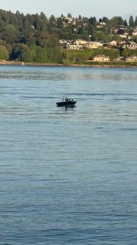 A person is fishing from a boat on the water. The boat is dark colored with a lighter colored cabin. A fishing net is attached to the back of the boat. The water is a blueish color with ripples. In the background, there is a shoreline with trees and houses. The sun appears to be low in the sky, casting a warm light on the scene. The person is standing and holding a fishing rod.