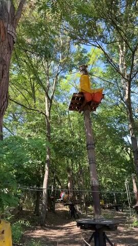 The video shows an adventure park with a rope course set in a forest. In the foreground, there is a wooden pole with a platform at the top, featuring orange and yellow structures. The pole is surrounded by trees and foliage. In the background, more trees are visible, along with sections of the rope course, including cables and platforms. The lighting suggests it is daytime. There are no people visible in the frame.