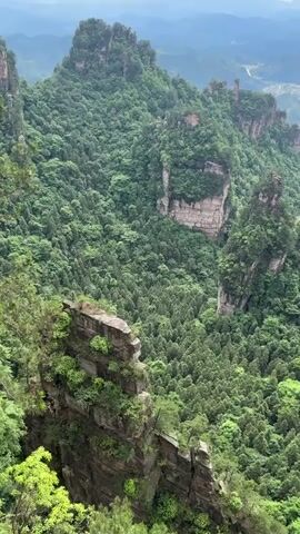 The video showcases a mountainous region densely covered in lush greenery. Tall, slender rock formations jut out from the forest, creating a dramatic landscape. The camera slowly pans across the scene, revealing more of these unique rock pillars and the vast expanse of the forest. In the distance, a hazy horizon suggests the continuation of the mountain range. The sky is overcast, contributing to the serene yet imposing atmosphere of the natural environment.