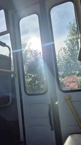 The video shows the interior of a vehicle, likely a bus or train, with two tall windows. Through the windows, trees and the sky are visible, with the sun shining brightly and causing lens flare. The interior of the vehicle is dimly lit. There are yellow handrails visible near the windows and doors, and a grey door handle in the center of the frame. A "no smoking" sign is visible on the right window. The vehicle appears to be in motion, as indicated by the movement of the sun and trees.