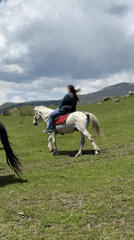 Two riders enjoy horseback outing in Armenian meadow